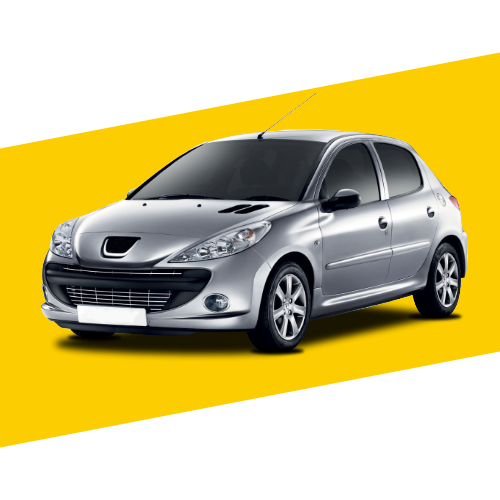 Film Auto Film Teinte Voiture Rennes 206 PLUS 5P 2009 ACTUEL